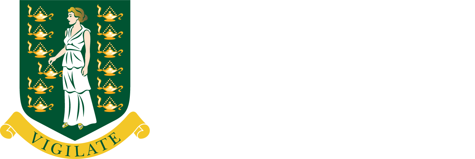 Government of the Virgin Islands