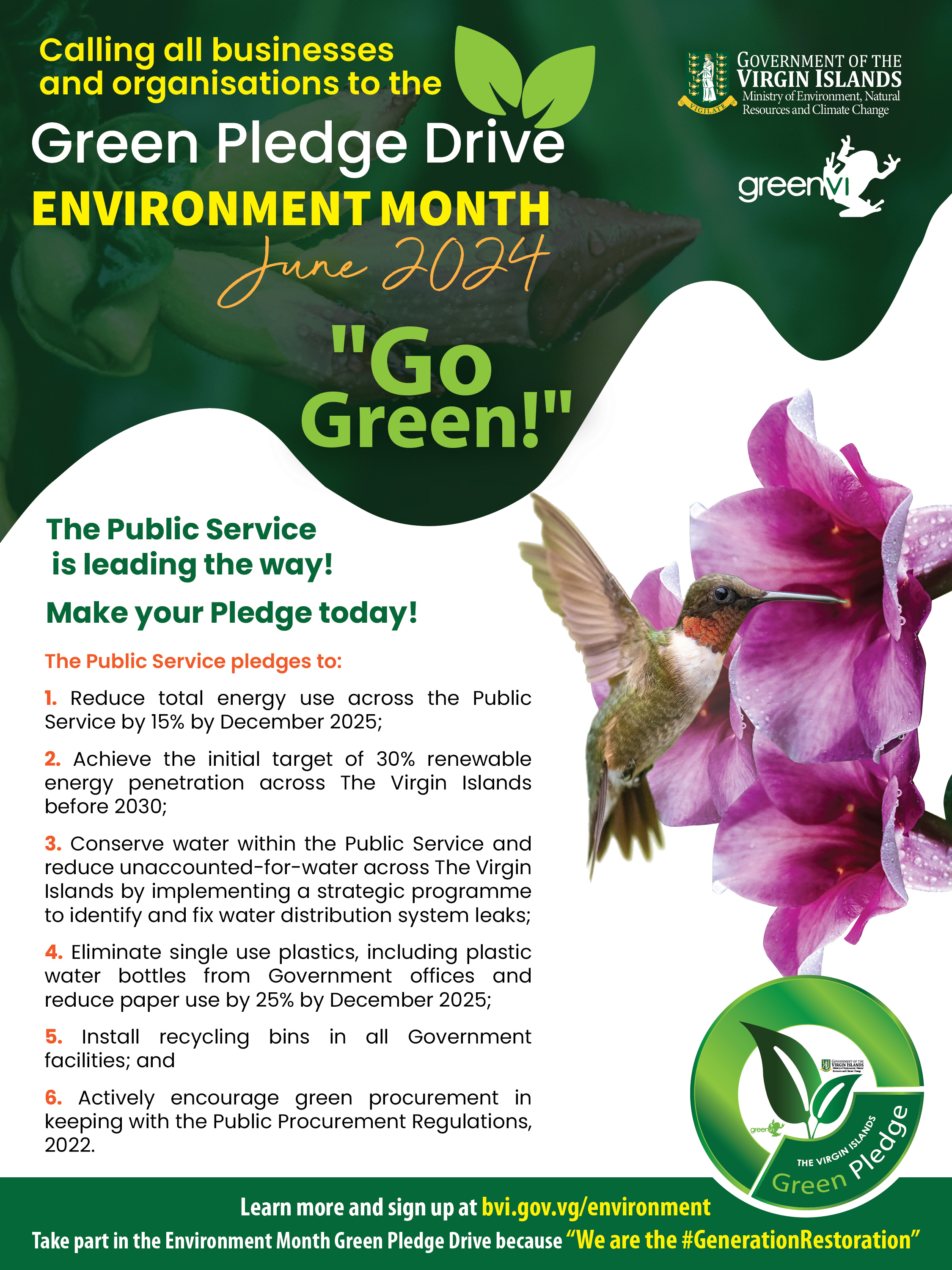 Green Pledge Flyer