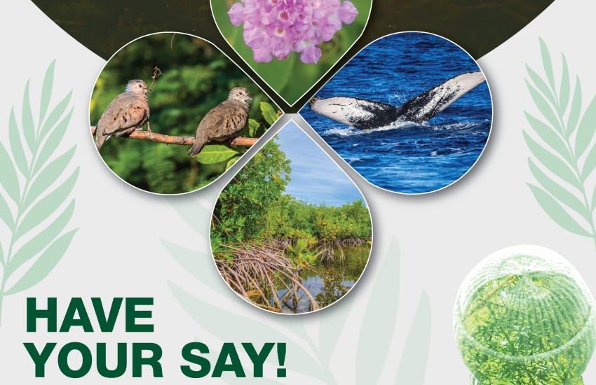 Public Input on New Environmental Protection Legislation