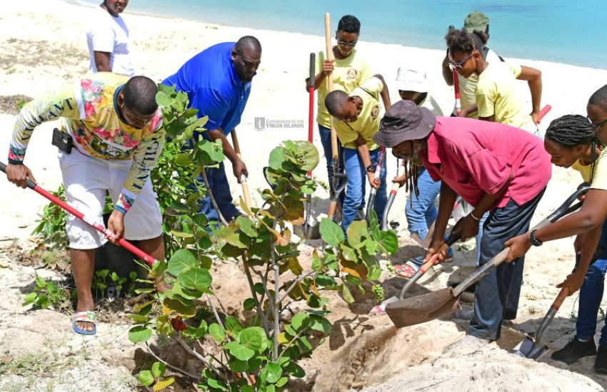 Initiatve To Replant 100 Seagrape Trees At Long Bay Continues 2