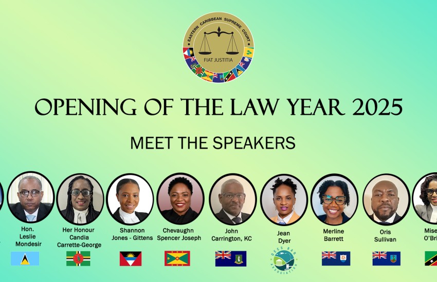 Opening of the Law Year 2025