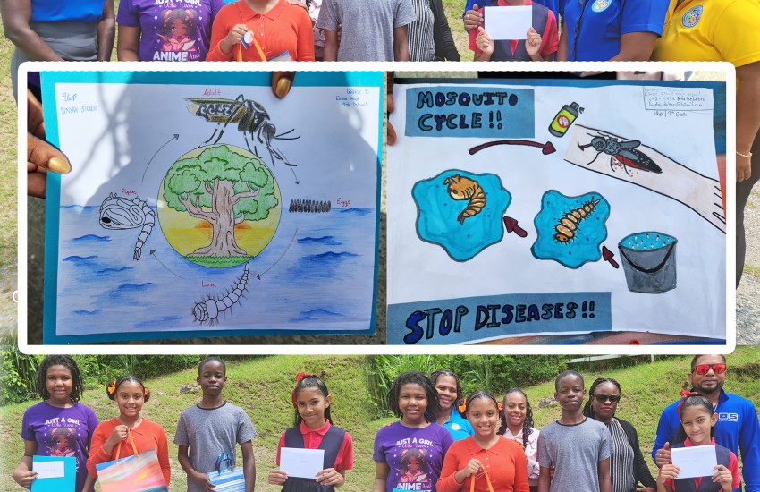 Top Winners for Mosquito Competition