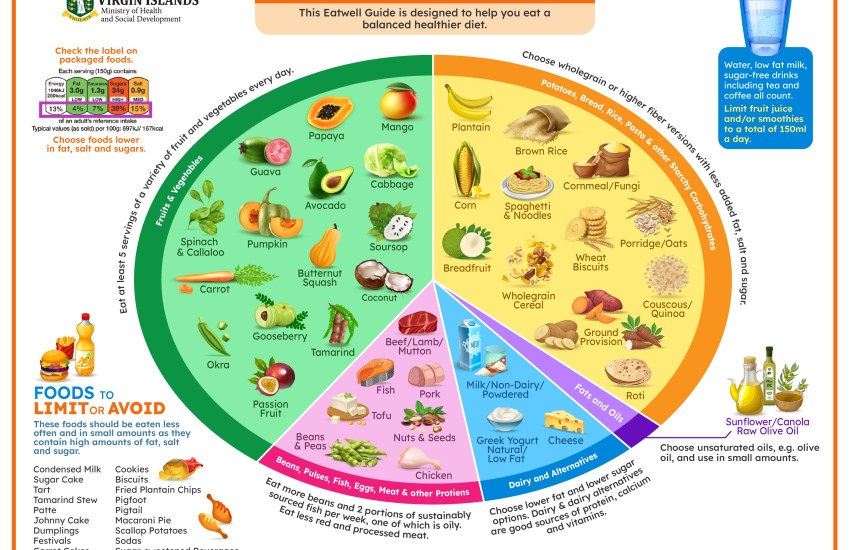 eatwell food plate final