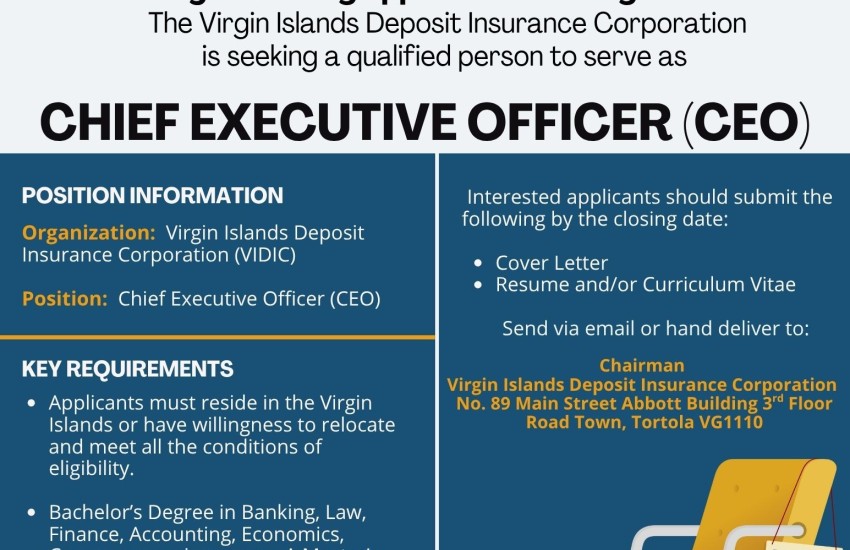 Chief Executive Officer (CEO) of the Virgin Islands Deposit Insurance Corporation