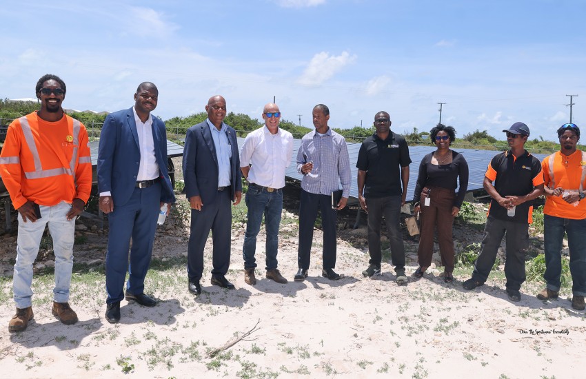 Anegada Renewable Energy Project-Delegation