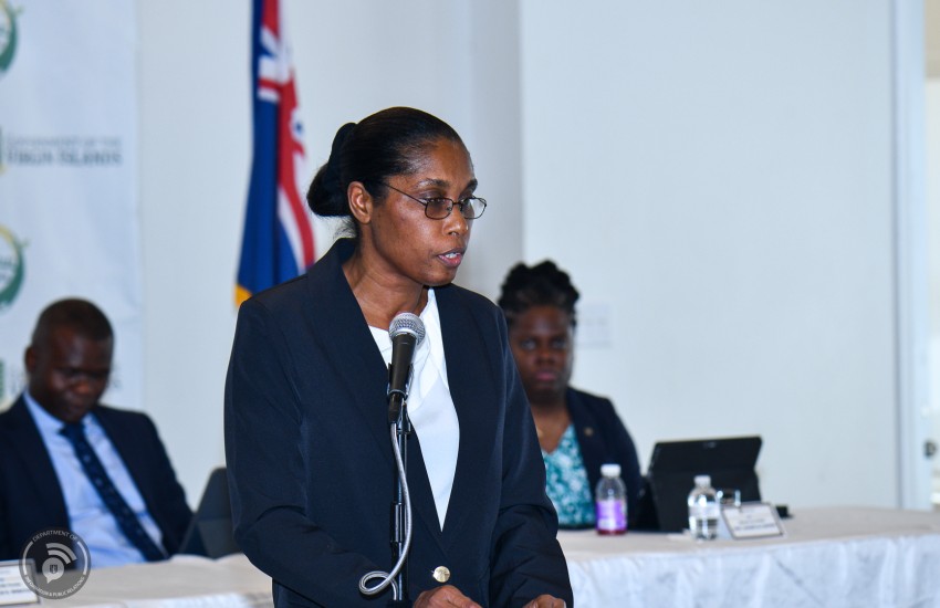 Permanent Secretary Natalie Fahie-Smith delivers the Ministry of Financial Services, Economic Development and Digital Transformation priorities for 2025-2026 at 2025 Mid-Year Review