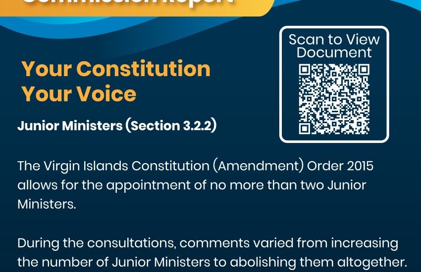 Debate on Constitutional Review Report