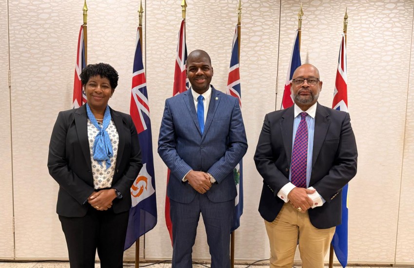 UK Caribbean OTs Caucus 3