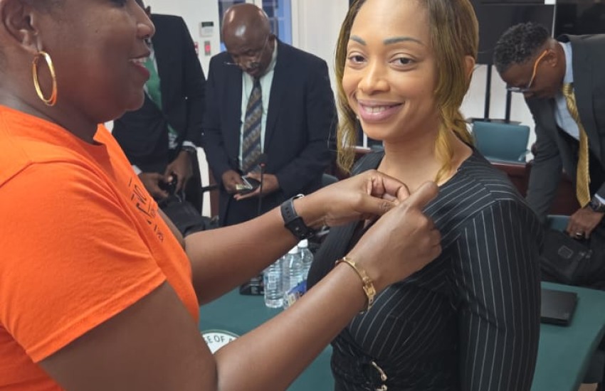 Speaker pinned by Zonta