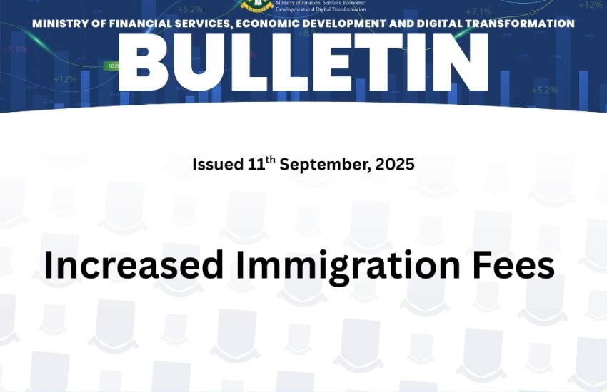 Increased Immigration Fees - Thumbnail