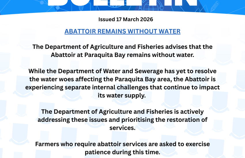 Abattoir Remains Without Water