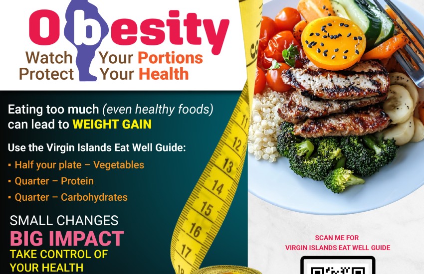 Obesity flyer Portion Control