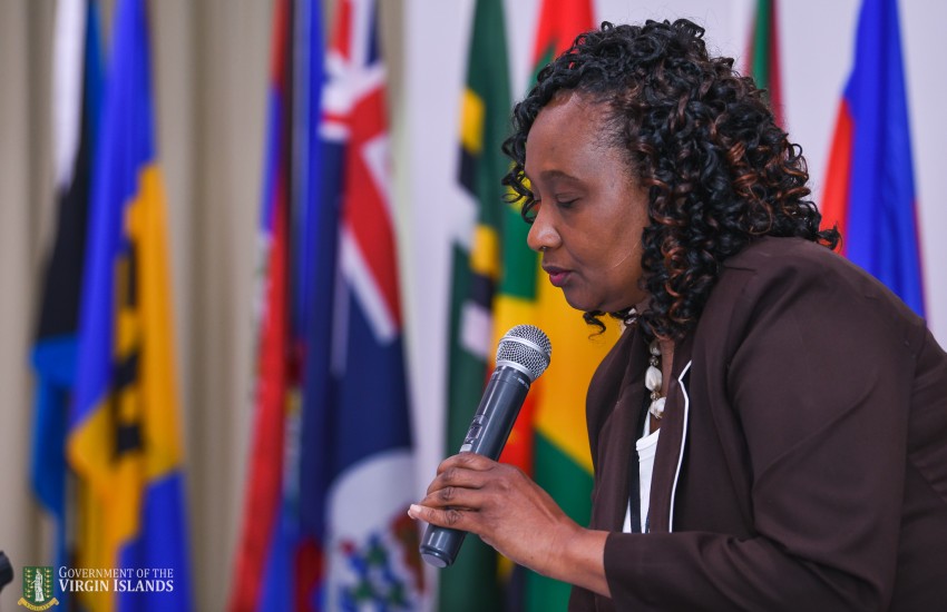 Scenes from the 17th annual meeting of the CDEMA TAC’s session on April 14 in Road Town.
