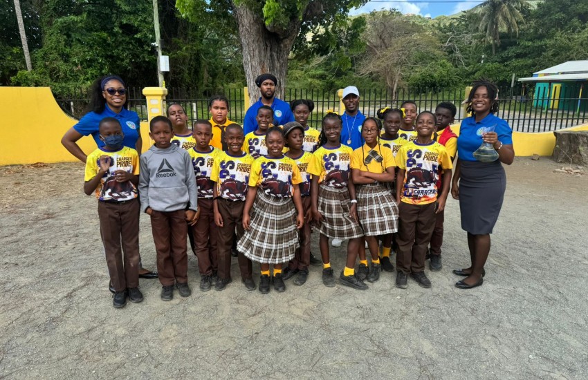 Mosquito Awareness primary school