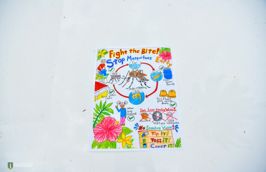 Mosquito Awareness Week Competition Art Winner