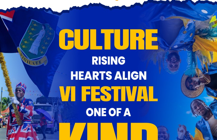 Festival Sexual Health Fete Responsibly 