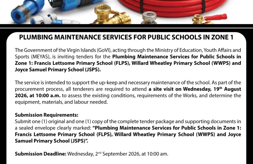 Plumbing Maintenance Services for Public Schools in Zone 1