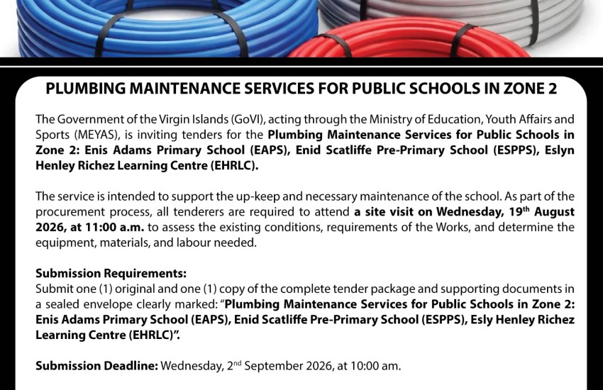 Plumbing Maintenance Services for Public Schools in Zone 2