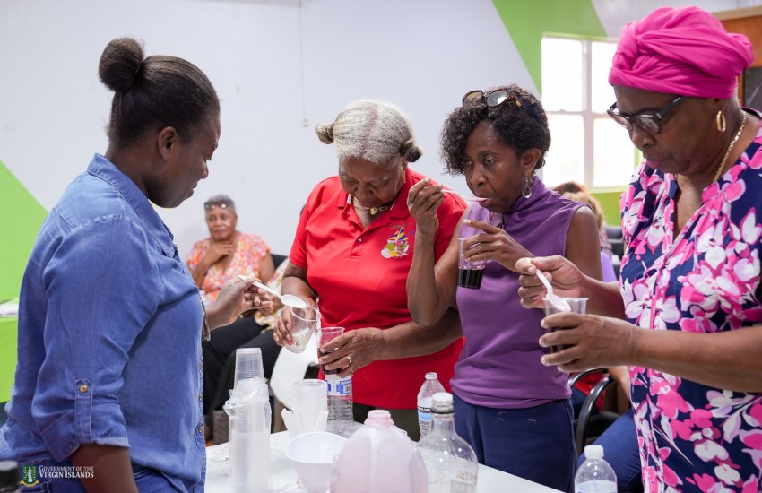 Guavaberry workshop participants