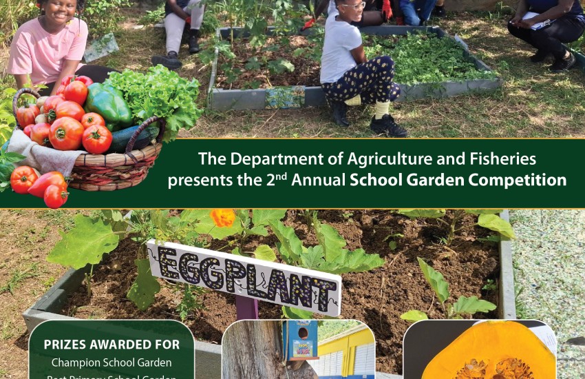 school_garden_competition_flyer_2-02.jpg