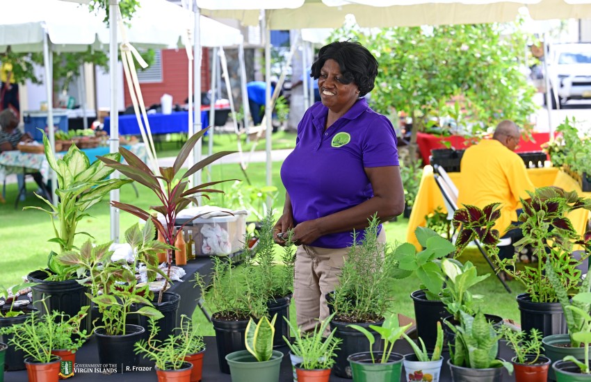 World Food Day activities