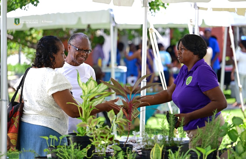 More World Food Day 2026