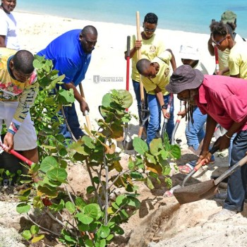 Initiatve To Replant 100 Seagrape Trees At Long Bay Continues 2