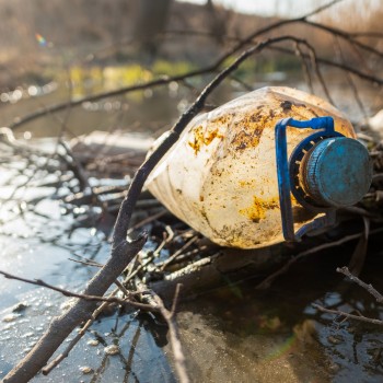 Environmental Complaint