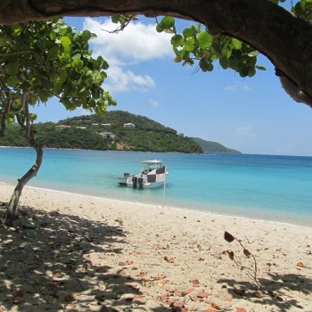 Long Bay, Beef Islands