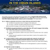 Intra-Trading in the Virgin Islands