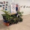 Art Rehabilitation 7