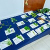 Medicinal Plants workshop 4