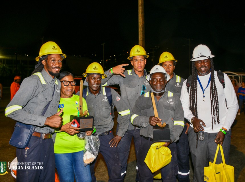 VI Government To Transform Electric Power Infrastructure 3