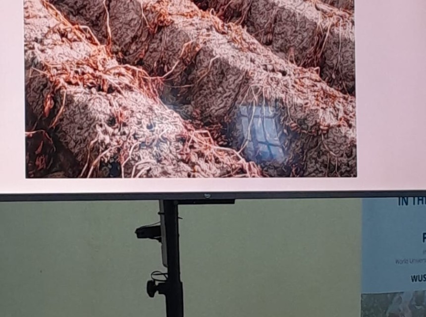 Farmers white potato 4