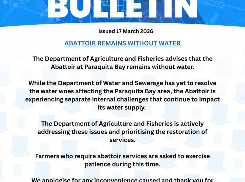 Abattoir Remains Without Water