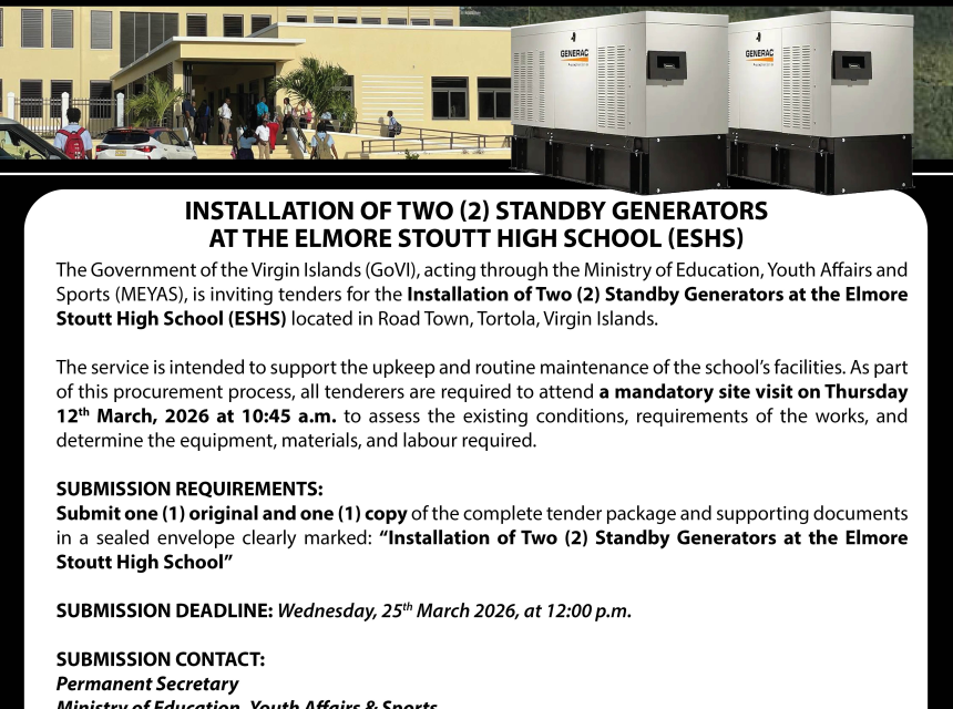 Installation of Two (2) Standby Generators at the Elmore Stoutt High School (ESHS)
