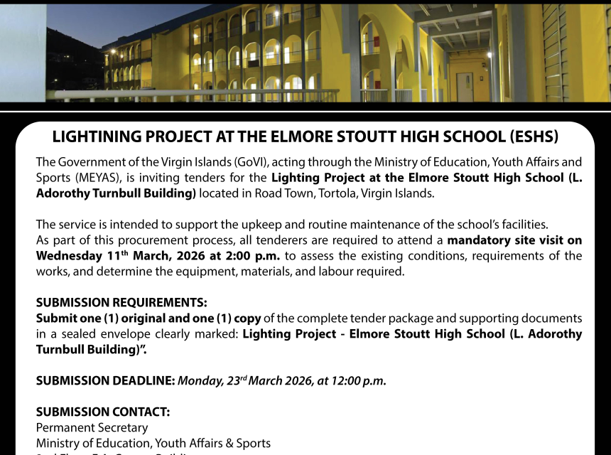 Lighting Project at the Elmore Stoutt High School (L. Adorothy Turnbull Building)