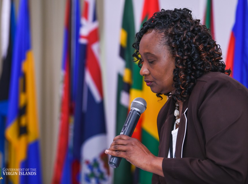 Scenes from the 17th annual meeting of the CDEMA TAC’s session on April 14 in Road Town.